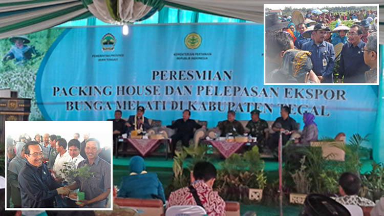 Petani dan Eksportir Harus Sama-sama Untung